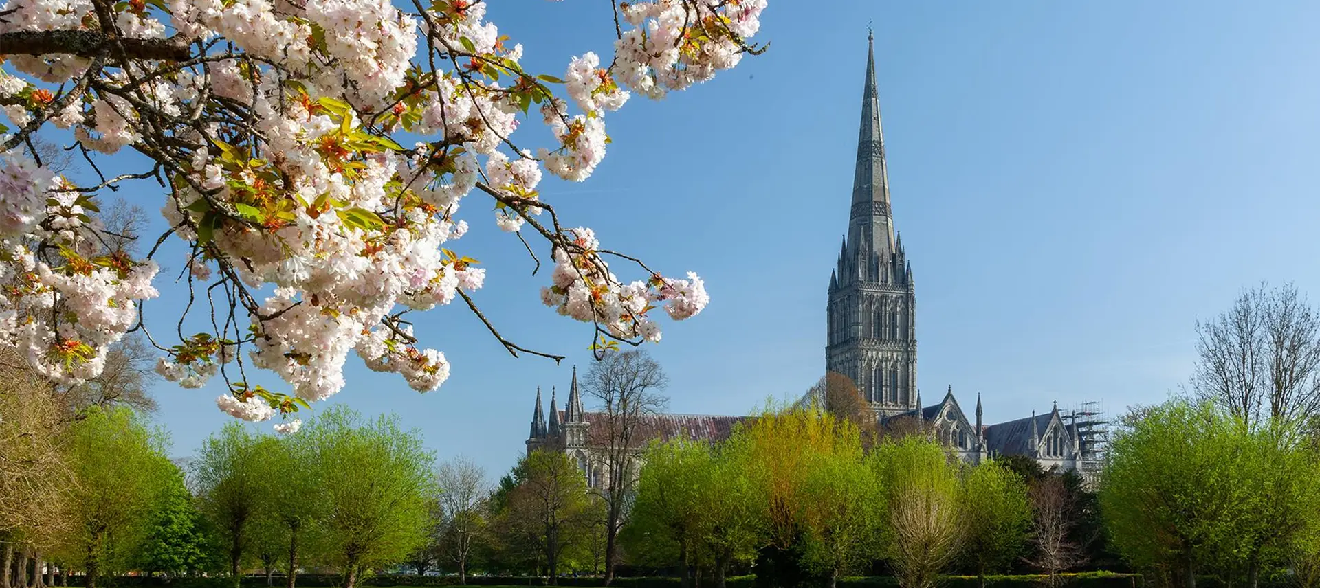 salisbury